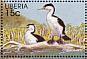 Australian Pied Cormorant Phalacrocorax varius  1998 The eruption of Krakatoa in 1883 25v sheet