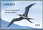 Great Frigatebird Fregata minor