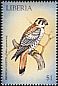 American Kestrel Falco sparverius