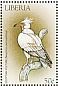 Egyptian Vulture Neophron percnopterus