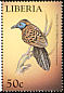 Ocellated Antbird Phaenostictus mcleannani  1999 Birds of the world 