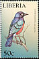 Superb Starling Lamprotornis superbus  1999 Birds of the world 