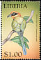 Rufous Motmot Baryphthengus martii  1999 Birds of the world 