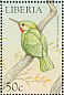 Jamaican Tody Todus todus