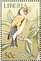 European Goldfinch Carduelis carduelis