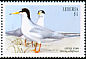 Little Tern Sternula albifrons  1999 Seabirds 