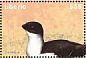 Little Auk Alle alle  2000 Sea animals 4v sheet