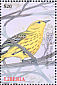 African Yellow Warbler  Iduna natalensis