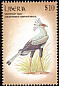 Secretarybird Sagittarius serpentarius  2000 Birds of Africa 