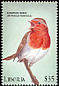 European Robin Erithacus rubecula  2000 Birds of Africa 