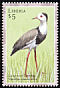 Long-toed Lapwing Vanellus crassirostris