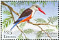 Grey-headed Kingfisher Halcyon leucocephala