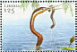 African Darter Anhinga rufa  2001 Birds of Africa Sheet