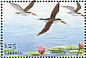 African Skimmer Rynchops flavirostris  2001 Birds of Africa Sheet