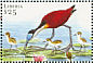 African Jacana Actophilornis africanus  2001 Birds of Africa Sheet