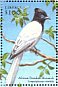 African Paradise Flycatcher Terpsiphone viridis