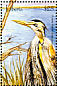 Purple Heron Ardea purpurea  2001 Birds of Africa Sheet