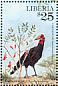 Southern Ground Hornbill Bucorvus leadbeateri