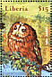 Tawny Owl Strix aluco