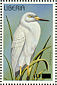 Great Egret Ardea alba