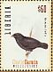 Medium Ground Finch Geospiza fortis  2009 Charles Darwin 4v sheet