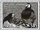 Barnacle Goose Branta leucopsis  2013 Birds of the world Sheet