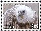 Griffon Vulture Gyps fulvus