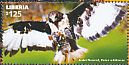 Jackal Buzzard Buteo rufofuscus