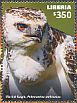 Martial Eagle Polemaetus bellicosus  2015 African birds of prey  MS