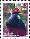 Violet Turaco Tauraco violaceus