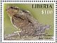 Eurasian Wryneck Jynx torquilla