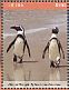 African Penguin Spheniscus demersus  2017 African penguins Sheet