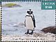 African Penguin Spheniscus demersus  2017 African penguins Sheet