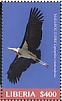 Marabou Stork Leptoptilos crumenifer  2019 Marabou Stork Sheet