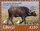 Western Cattle Egret Bubulcus ibis  2019 African Buffalo 4v sheet