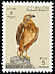 Long-legged Buzzard Buteo rufinus  1965 Birds 