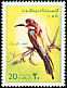 European Bee-eater Merops apiaster  1976 Libyan birds 