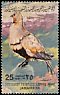 Black-bellied Sandgrouse Pterocles orientalis  1982 Birds 