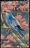 European Roller Coracias garrulus  1982 Birds 