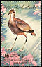 Cream-colored Courser Cursorius cursor  1982 Birds 