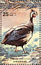 Helmeted Guineafowl Numida meleagris  1983 Farm animals 16v sheet