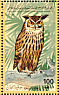 Pharaoh Eagle-Owl Bubo ascalaphus