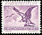 Bearded Vulture Gypaetus barbatus  1939 Air 