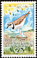 Little Ringed Plover Charadrius dubius  1989 WWF 4v set