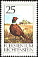 Common Pheasant Phasianus colchicus  1990 Game birds 