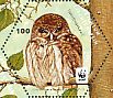 Eurasian Pygmy Owl  Glaucidium passerinum