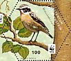 Whinchat Saxicola rubetra