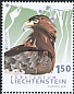 Golden Eagle Aquila chrysaetos