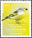 Citril Finch Carduelis citrinella