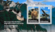 Click for enlargement